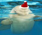 Yunus Noel Baba şapkalı